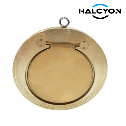 DIN Wafer Type Bronze Swing Check Valve
